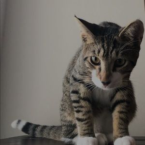 Meet your Posher, Ekateryna